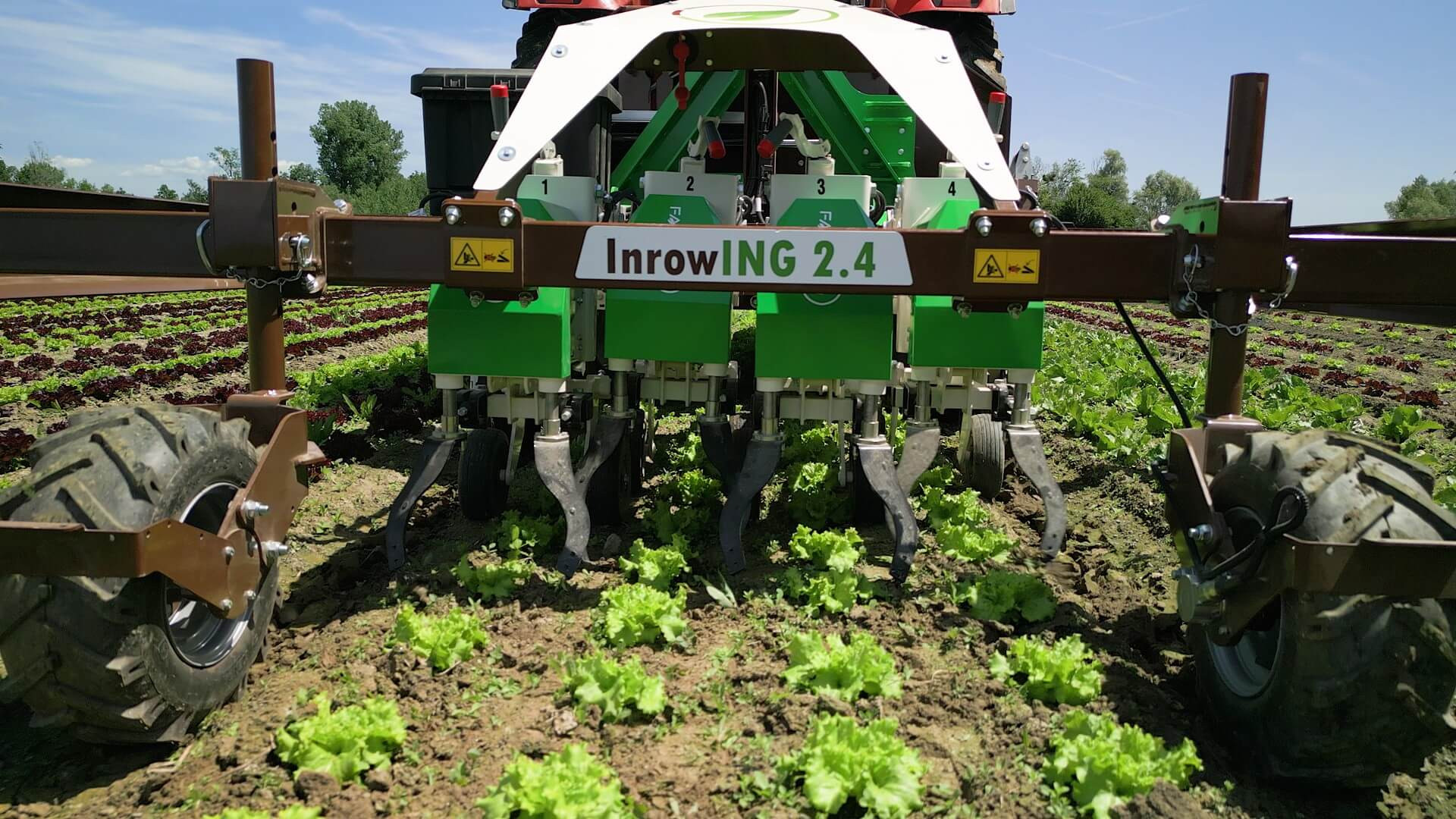 close-up-inhoe.jpg